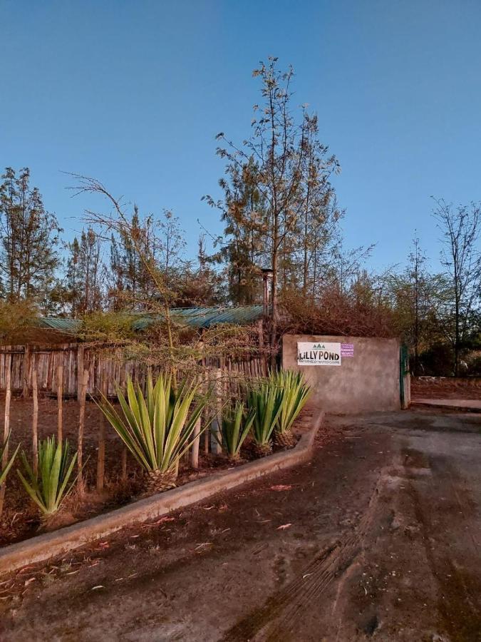 Elmenteita Lillypond Camp酒店 外观 照片